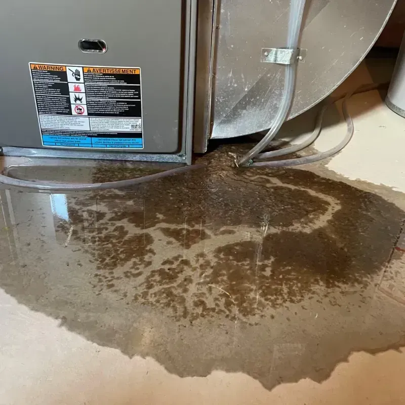 Appliance Leak Cleanup in Swift Trail Junction, AZ